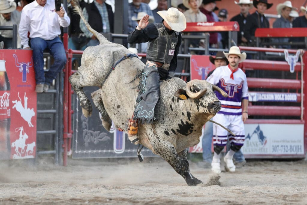Photo Courtesy of Jackson Hole Rodeo