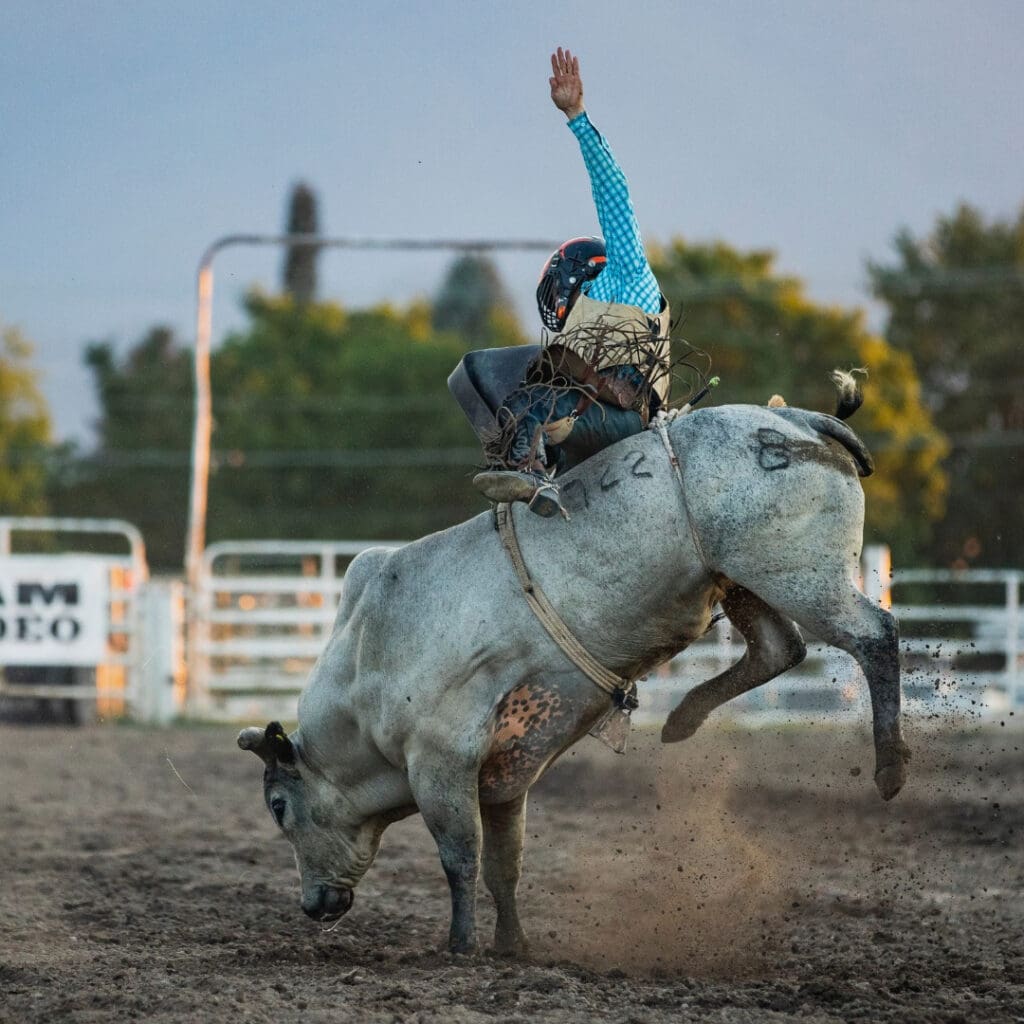Credit: Missoula Stampede