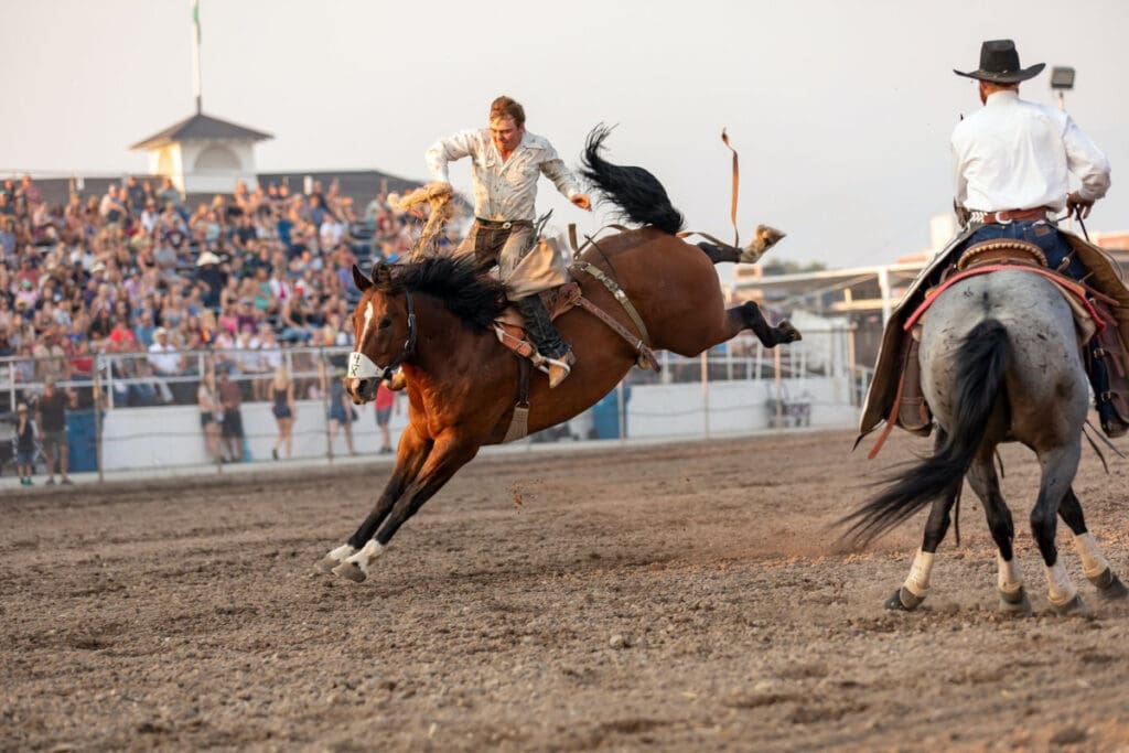 Credit: Missoula Stampede