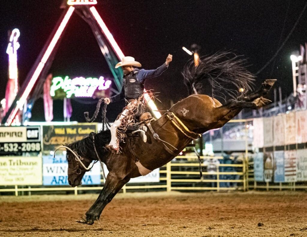 Cowboy in the saddle of a bucking bronc