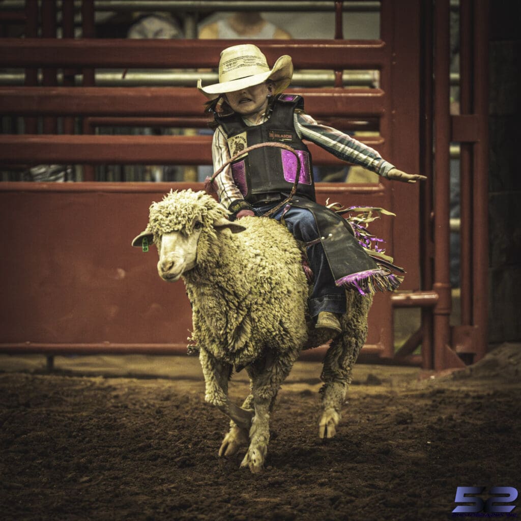 Credit: 52 Photography