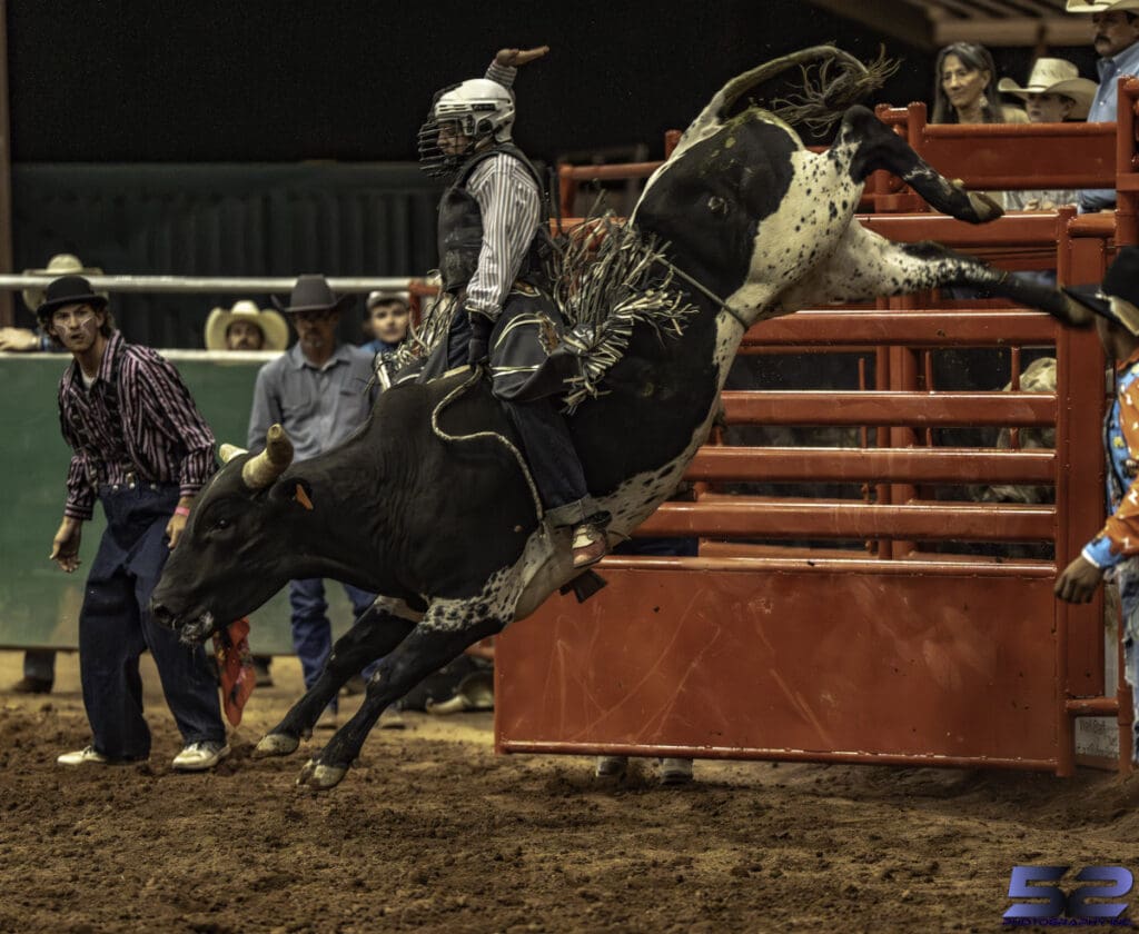 Credit: 52 Photography