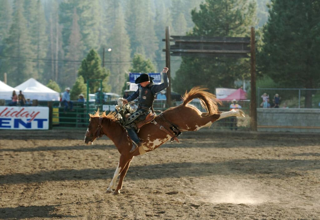 Credit: Truckee Professional Rodeo