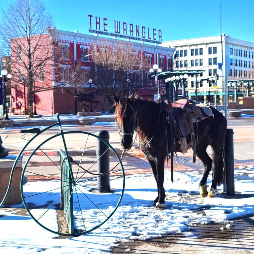 Horse in front of The Wrangler Hotel