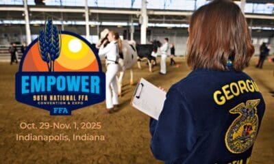 Iconic Blue FFA jacket worn by a livestock judge