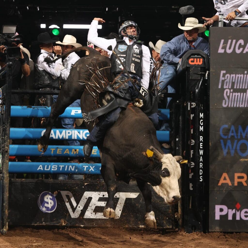 Bull rider in arena