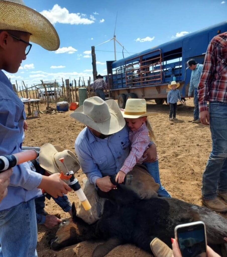 Kelsee Bradshaw Ranch cattle vacination