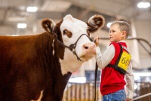 Boots, Bulls & Big Tunes: NILE Stock Show & Rodeo Returns to Billings ...