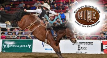 Boots, Bulls & Big Tunes: NILE Stock Show & Rodeo Returns to Billings This October 2025