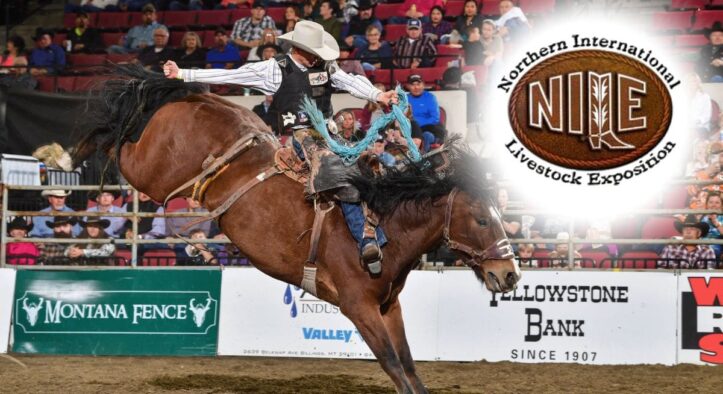 Boots, Bulls & Big Tunes: NILE Stock Show & Rodeo Returns to Billings This October 2025
