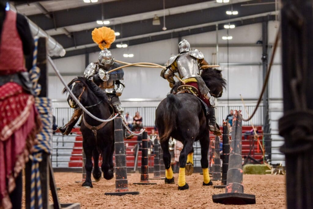 Performer at Winter Knights festival