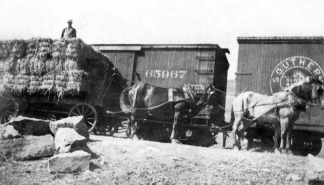 Old photo of hay being loaded onto a train