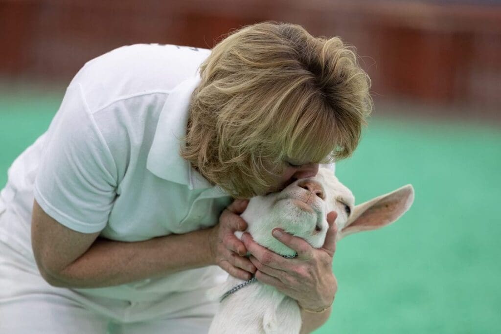 Woman hugging and kissing a sheep