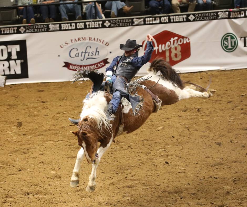 Bronc Rider Dixie National Livestock Show & Rodeo