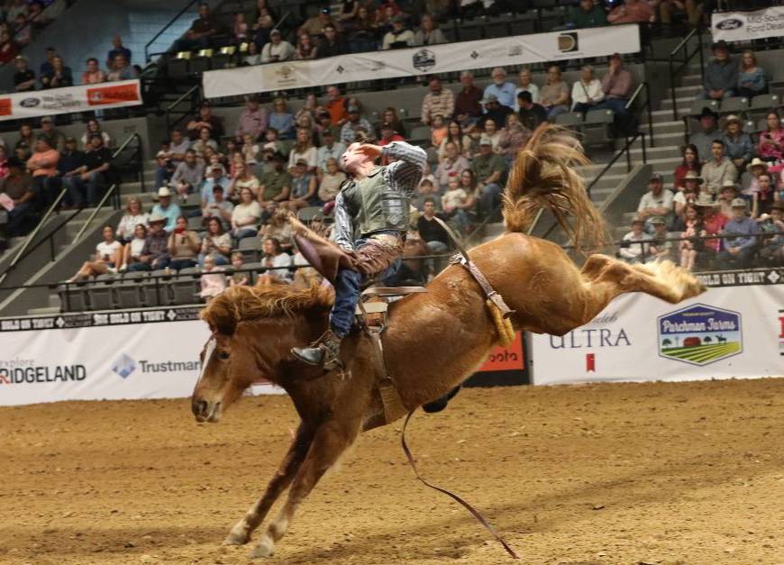 Bareback Bronc Rider. Photo by Dixie National Livestock Show & Rodeo