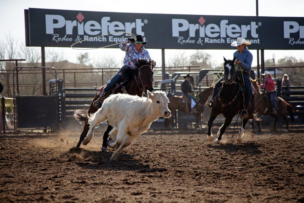 Team ropers at Art of the Cowgirl