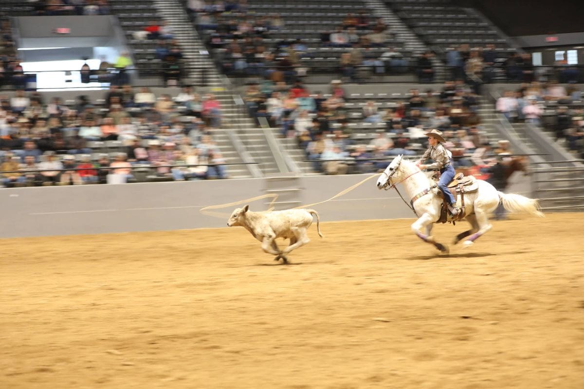 Native Rodeo Fair Dixie National Livestock Show & Rodeo 2026 - Cowboy Lifestyle Network