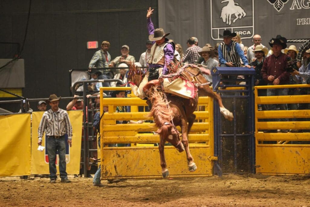 Bronc Rider: Photo by Dixie National Livestock Show & Rodeo