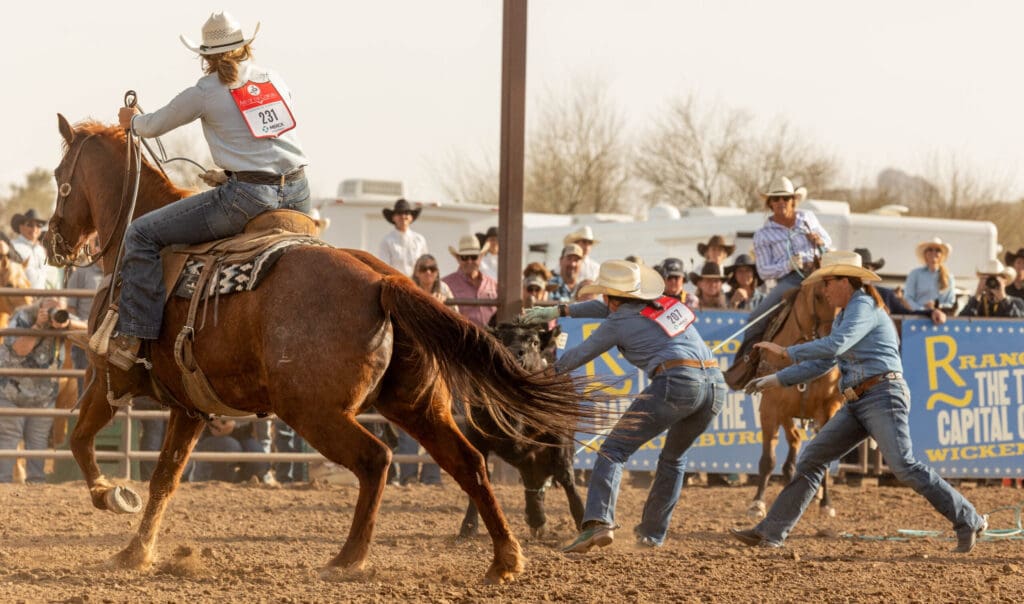 Ranch rodeo competition at Art of the Cowgirl