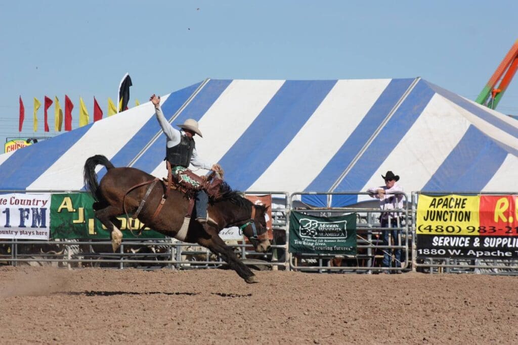 Saddle bronc riding. Photo by Lost Dutchman Days