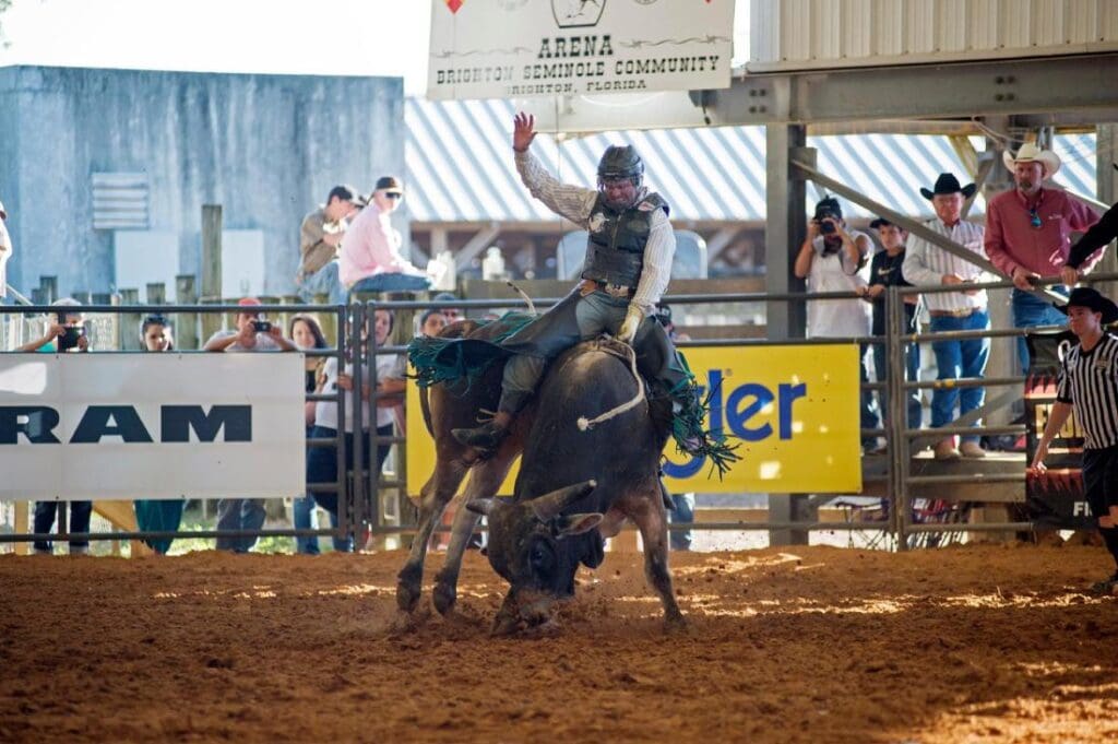 Bull riding at Brighton Field Days.