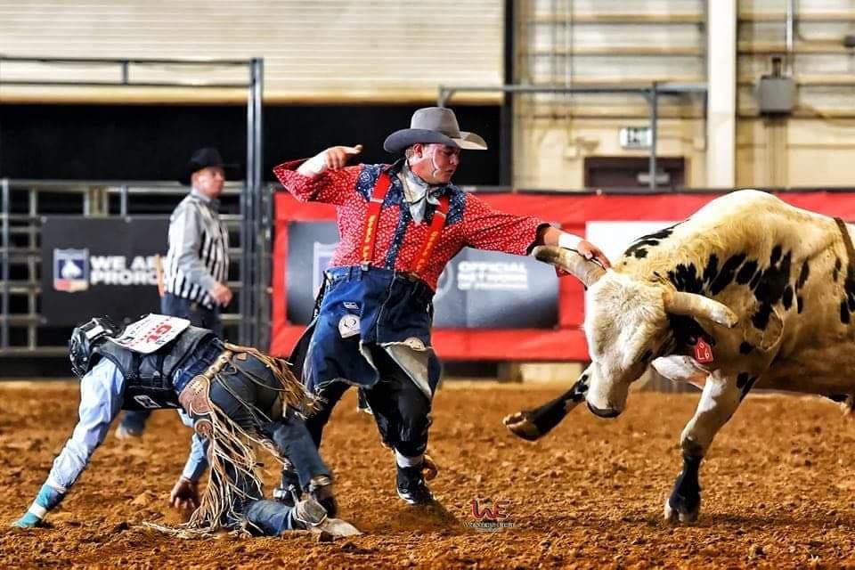Bull fighter protecting a rider from a bull. Photo from CLN Media.