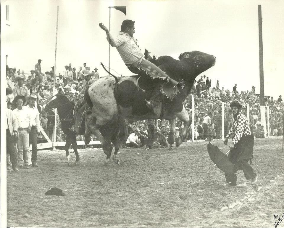 Bull Rider photo from Yuma rodeo web