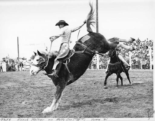 Bronc rider photo from Yuma rodeo web