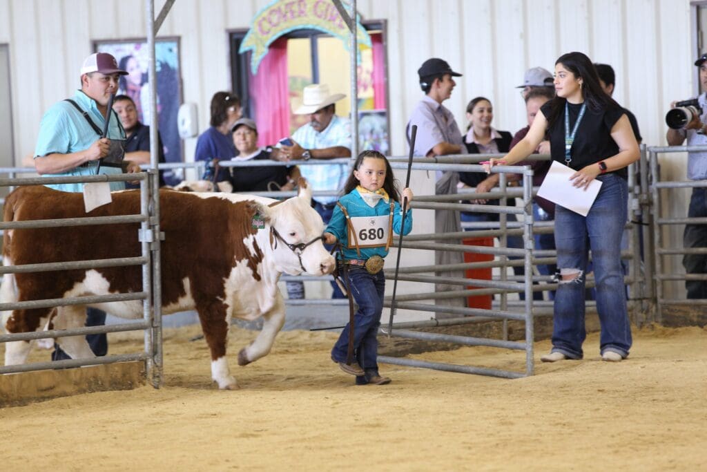 Livestock show competitor at RGVLS