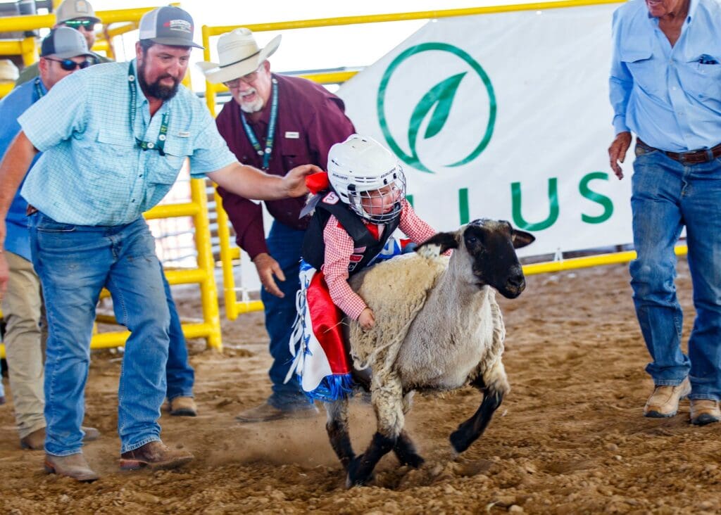 Mutton Bustin' competitor at RGVLS