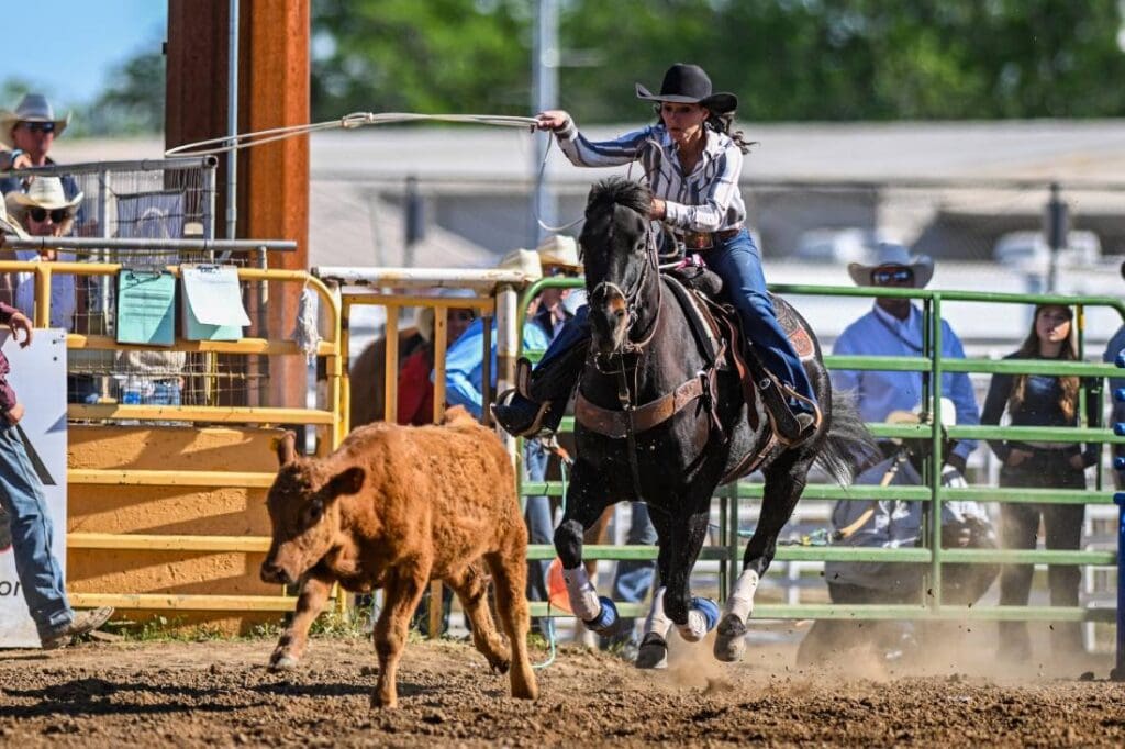 Break Away Roping.  Photo courtesy of Red Bluff Round Up.