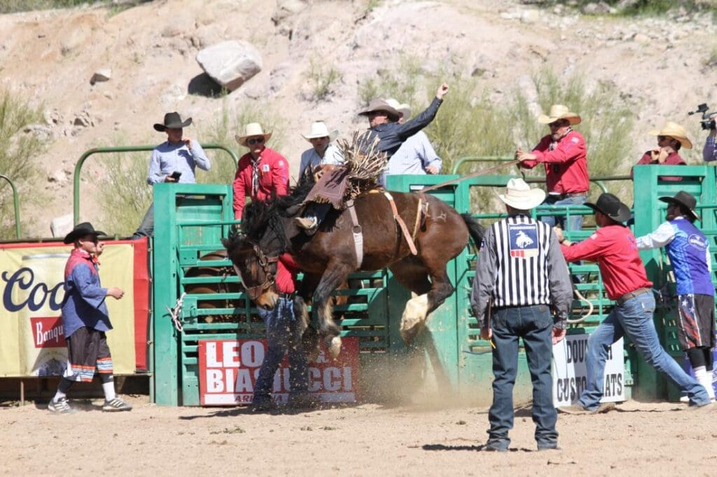 Bronc rider at Legends of the West