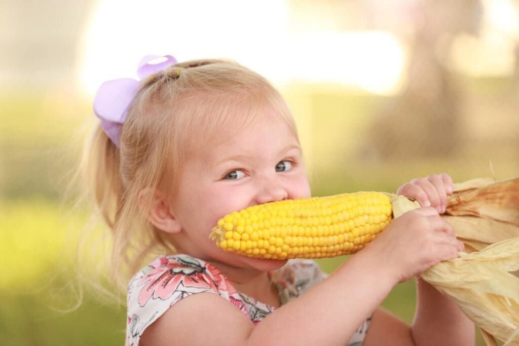 Young blonde girl eating a ear of corn at the Clark Co Fair and Rodeo