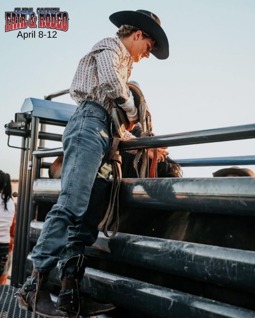 Cowboy getting his gear on a bronc in the chutes