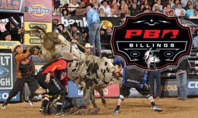 Bull fighters trying to distract a bull while the rider is on the ground at PBR