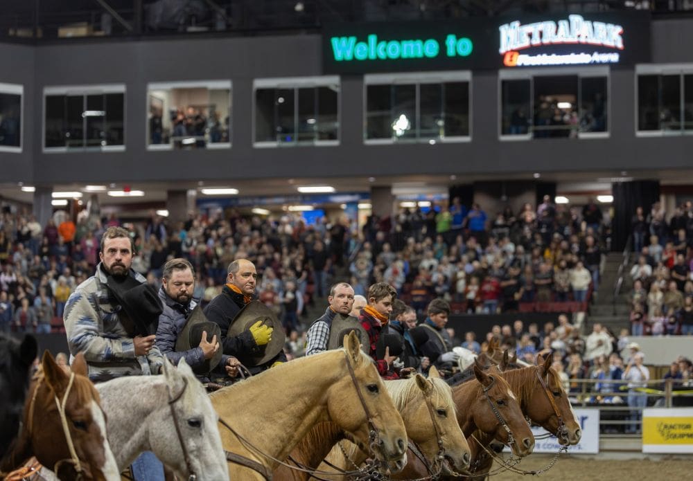 MetraParkhorses