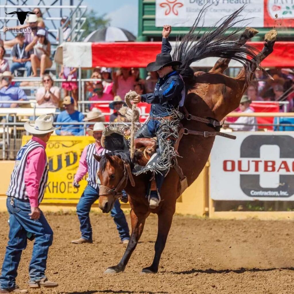 Saddle Bronc photo courtesy of Red Bluff Round Up