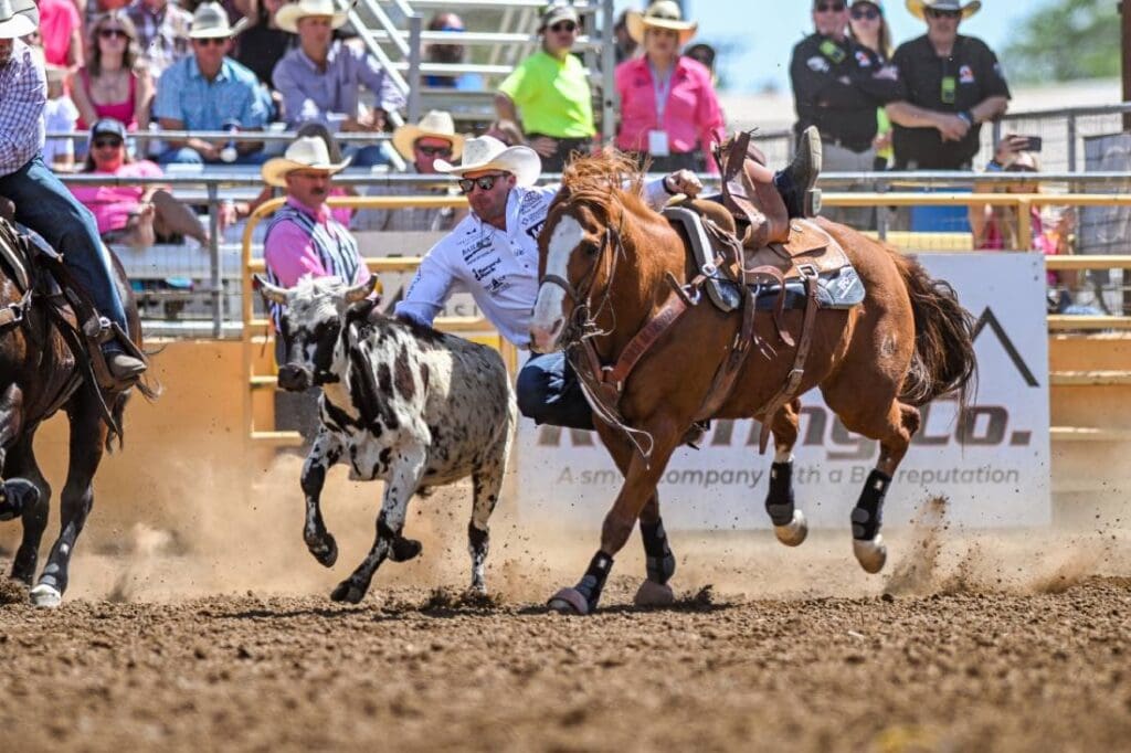 Steer wrestling photo courtesy of Red Bluff Round Up