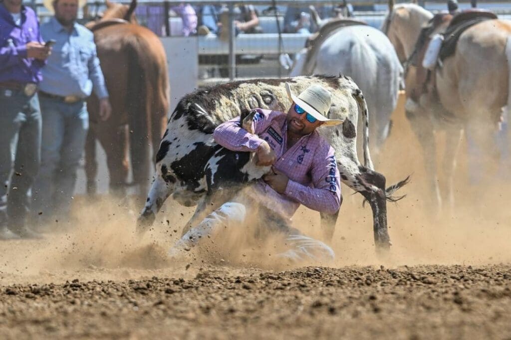 Steer wrestling photo courtesy of Red Bluff Round Up