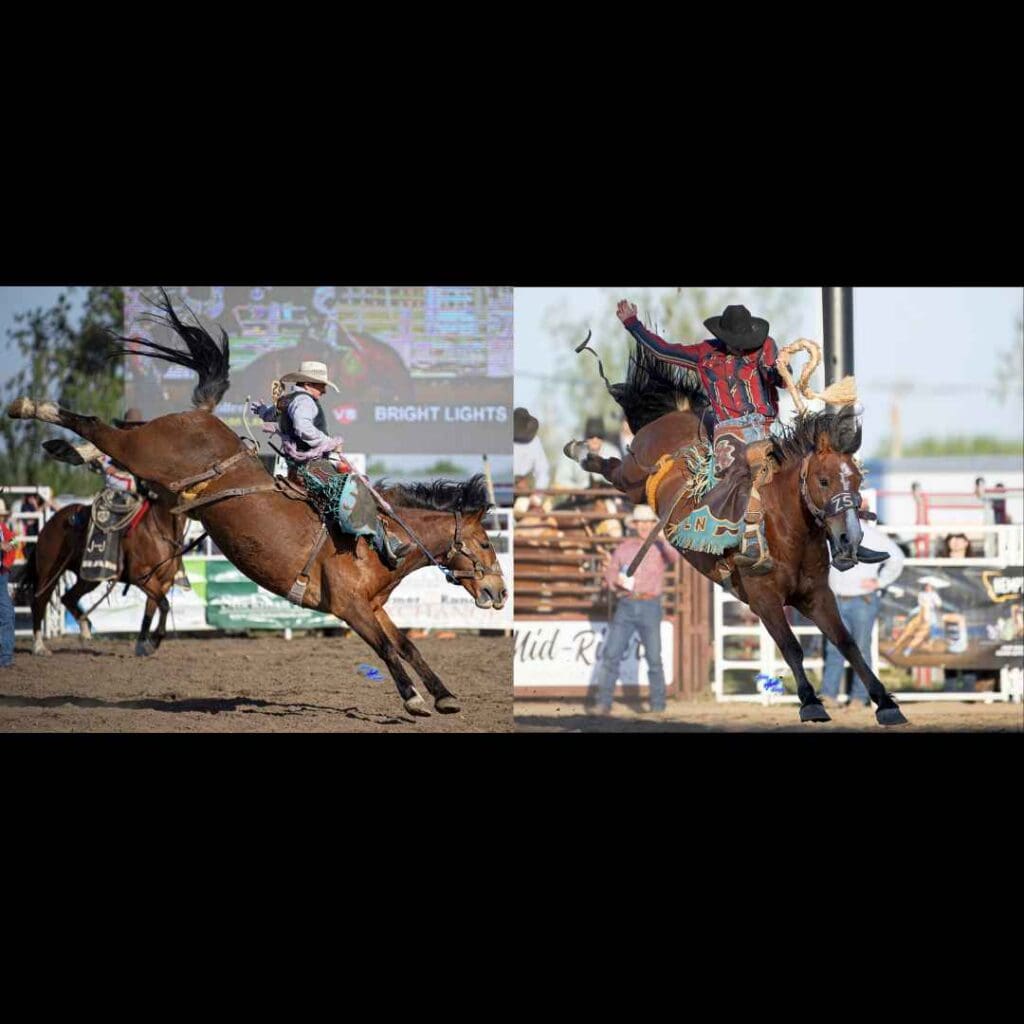 2025-Orin-Muri-Winners-Miles-City-Bucking-Horse-Sale