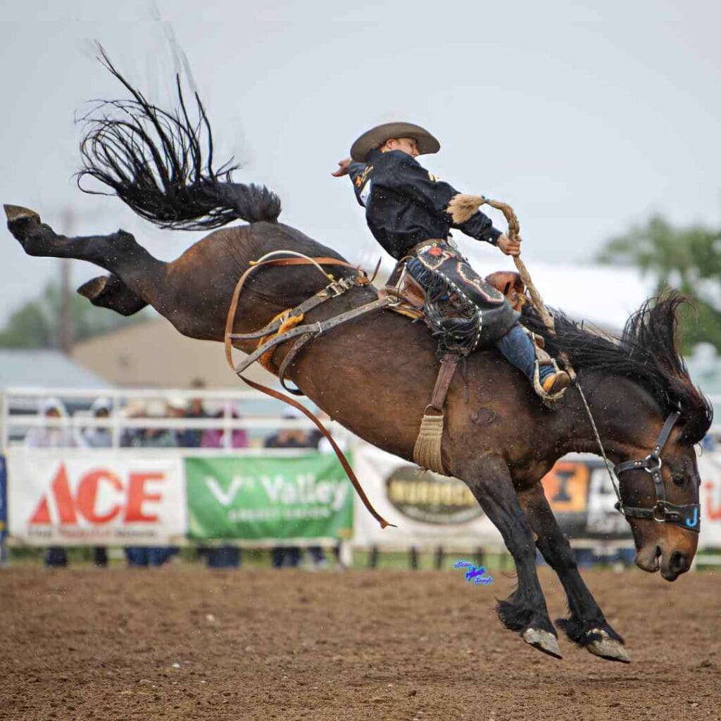 2025-PRCA-Xtreme-Broncs-Match-Winner-Dawson-Hay-90-Gronk-J-Bar-J-Pro-Rodeo