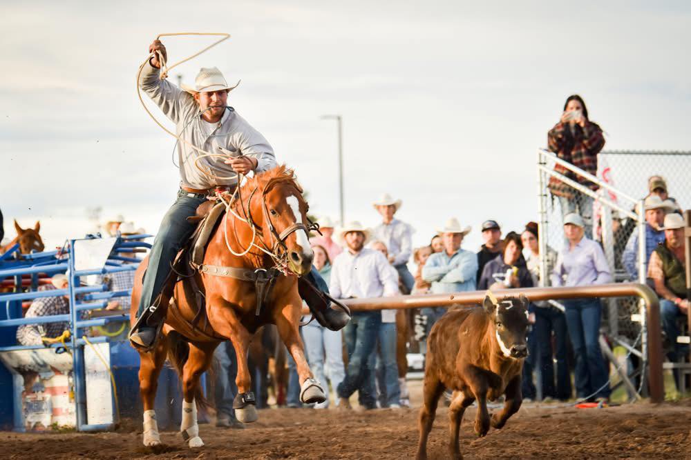 Roper at the Hell on Wheels Rodeo