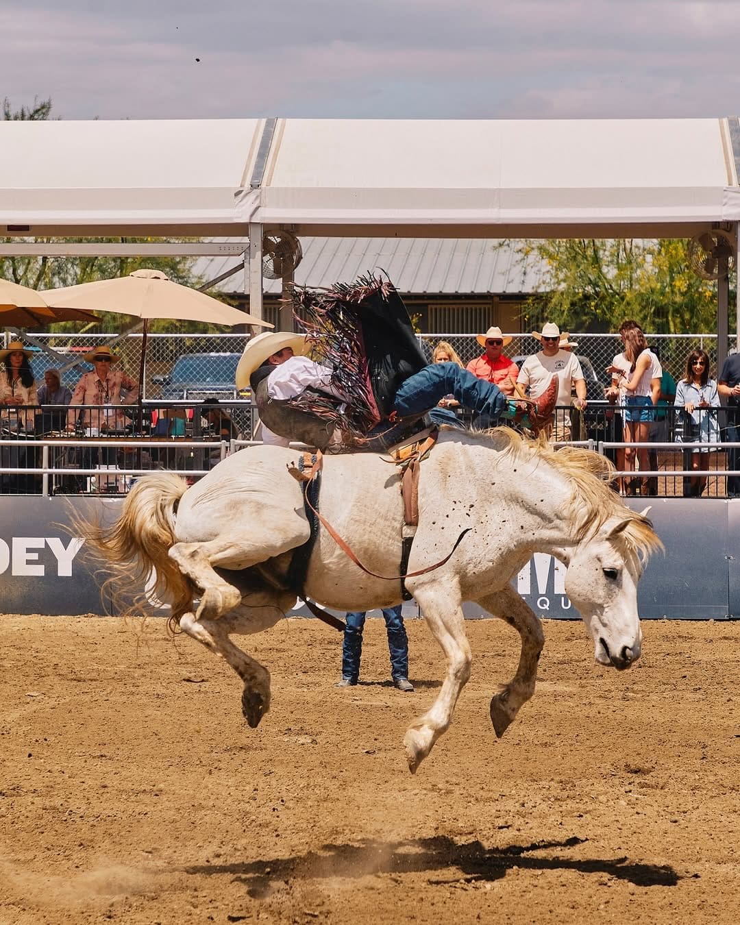 Desert Rodeo: Back in the Saddle in 2026 - Cowboy Lifestyle Network