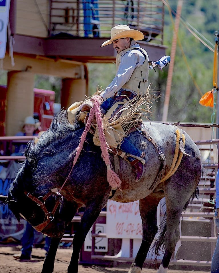 Cowboy riding bronc