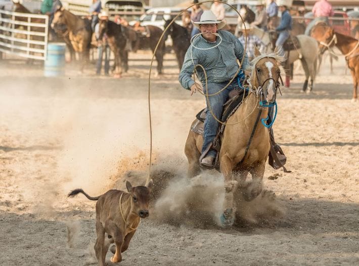 Rodeo camp learning to rope a steer