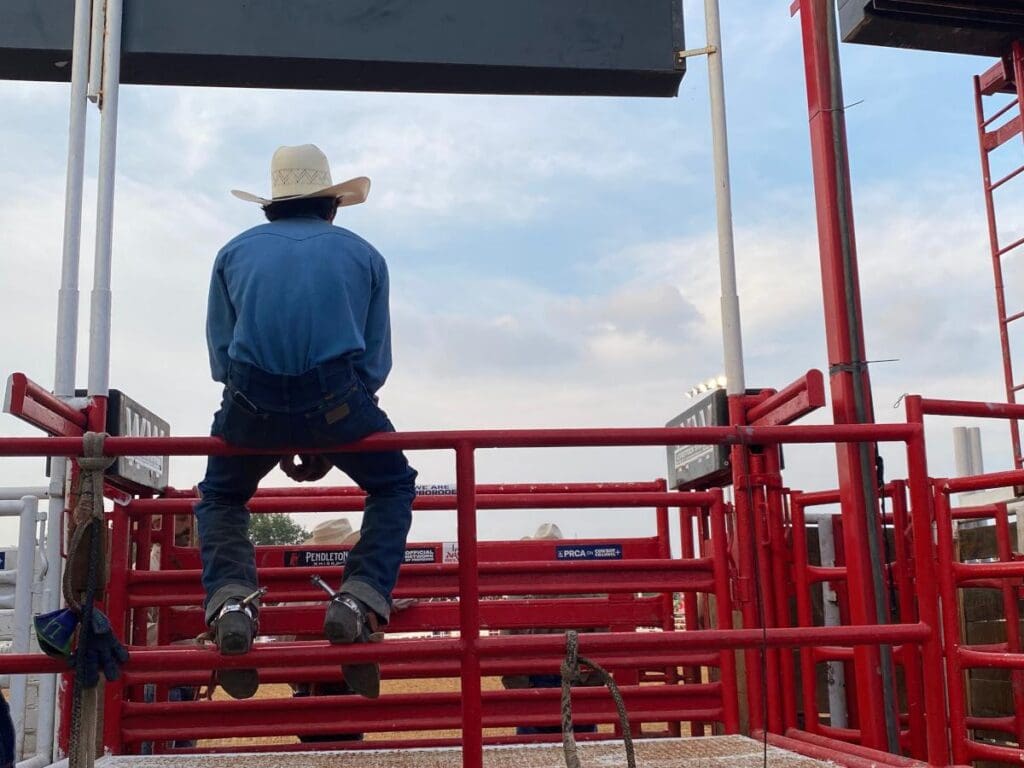 CLN MEDIA: Cowboy sitting on back pen gates