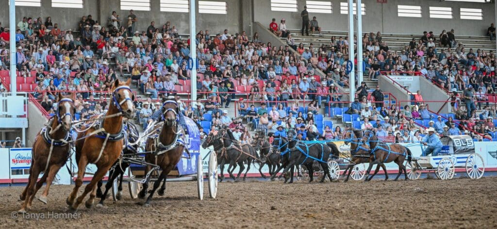 Greeley Stampede Stagecoach Races