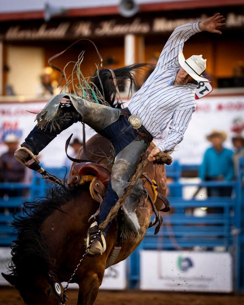 Bronc rider in the arena