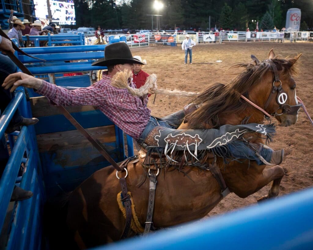 Bronc rider in the arena