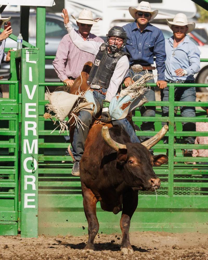 Bull ride at Livermore Rodeo.  Photo from Livermore Rodeo fb